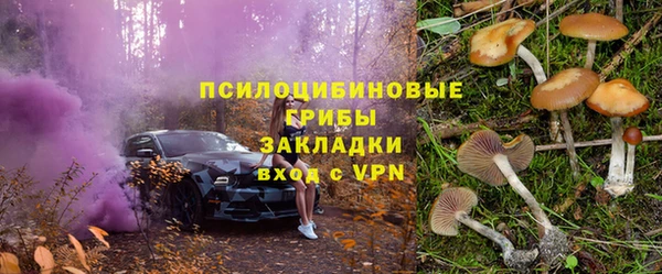 амф Абаза