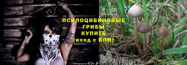 амф Абаза