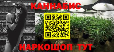 PSILOCYBIN Новозыбков