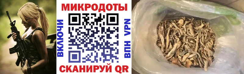 Галлюциногенные грибы MAGIC MUSHROOMS  где продают наркотики  Черногорск 