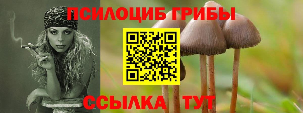 Галлюциногенные грибы мухоморы  Вход с VPN  Черногорск 
