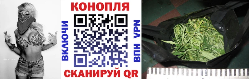 MEGA вход  Черногорск  Бошки марихуана тримм 
